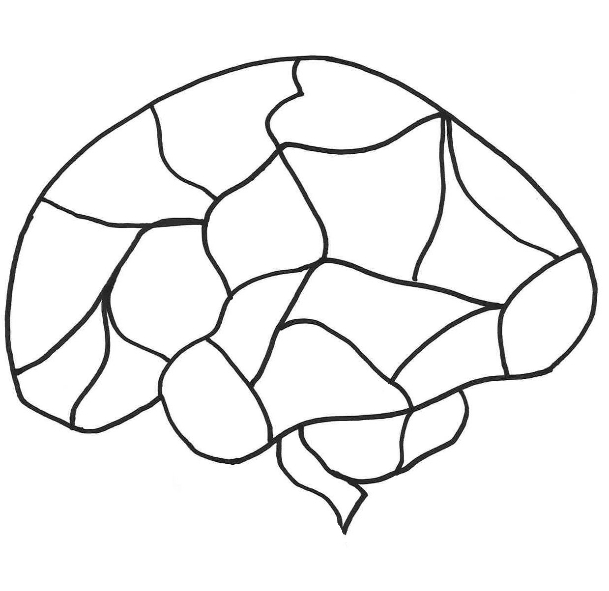 Human Brain Diagrams Blank - Anatomy Chart Body