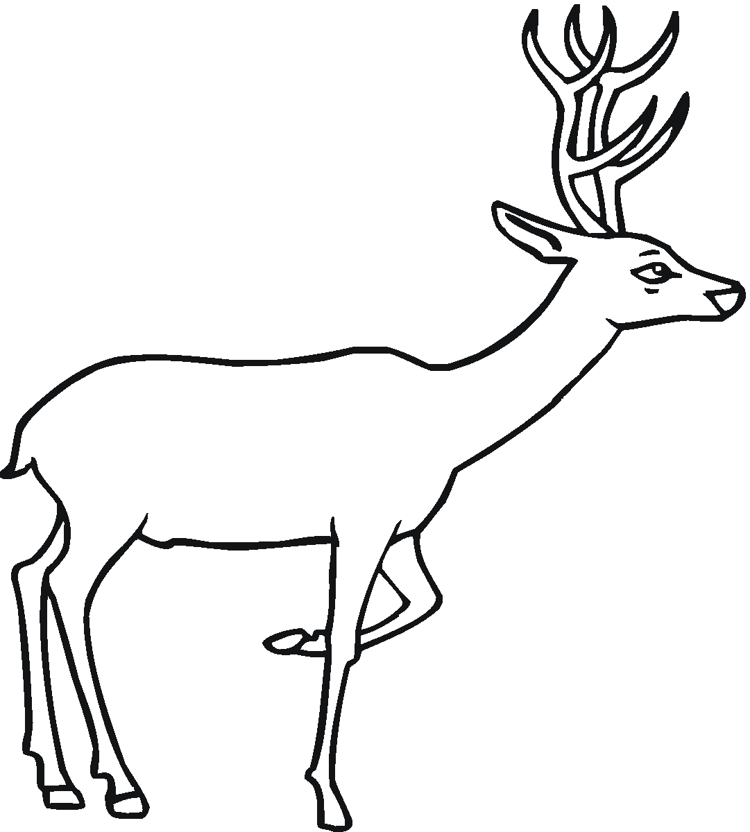 Deer Line Drawing - ClipArt Best