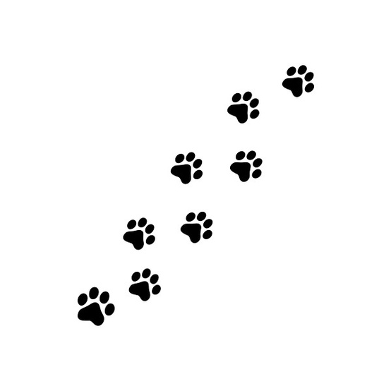 dog footprints clip art - photo #25