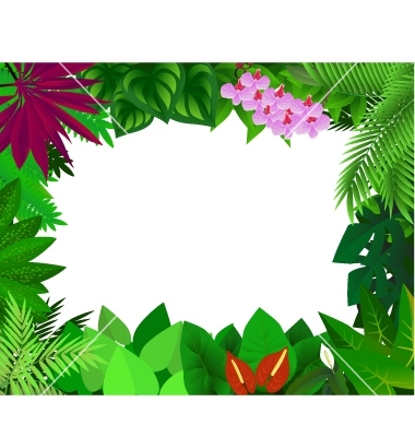 Rainforest Borders - ClipArt Best