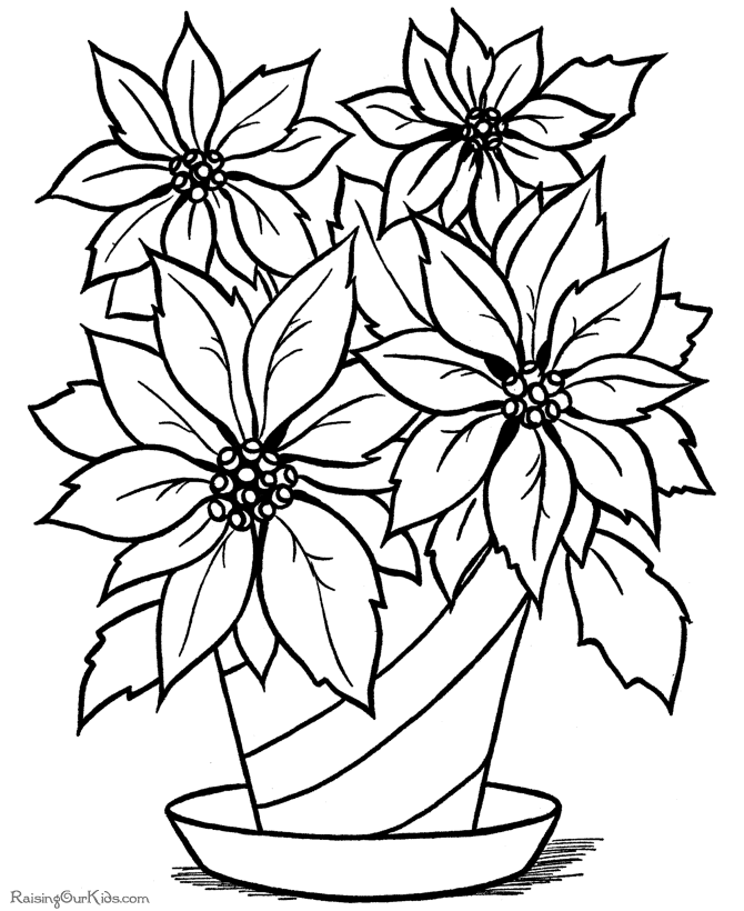 570 views Free Printable Flower Coloring Pages : Free - Free Coloring Pages