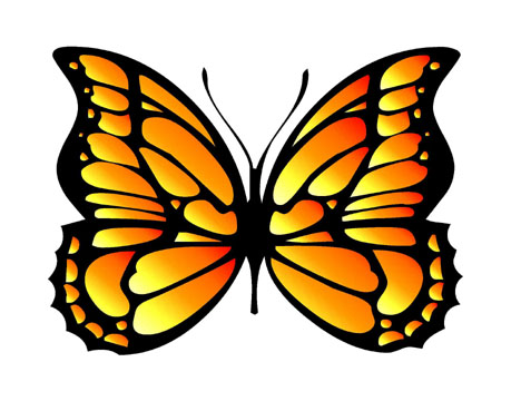 Butterfly Graphic | Free Download Clip Art | Free Clip Art | on ...