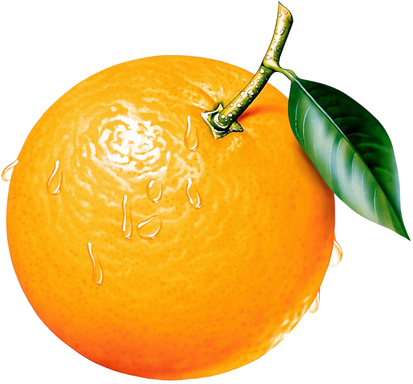 Clipart orange - ClipartFox
