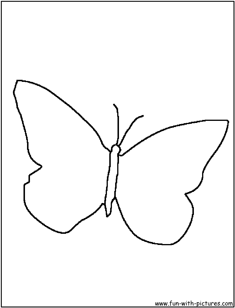 Best Photos of Printable Animal Outlines - Butterfly Outline ...