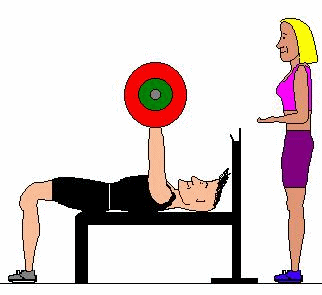 Weight Training for the Upper Body from Professional Running Coaches