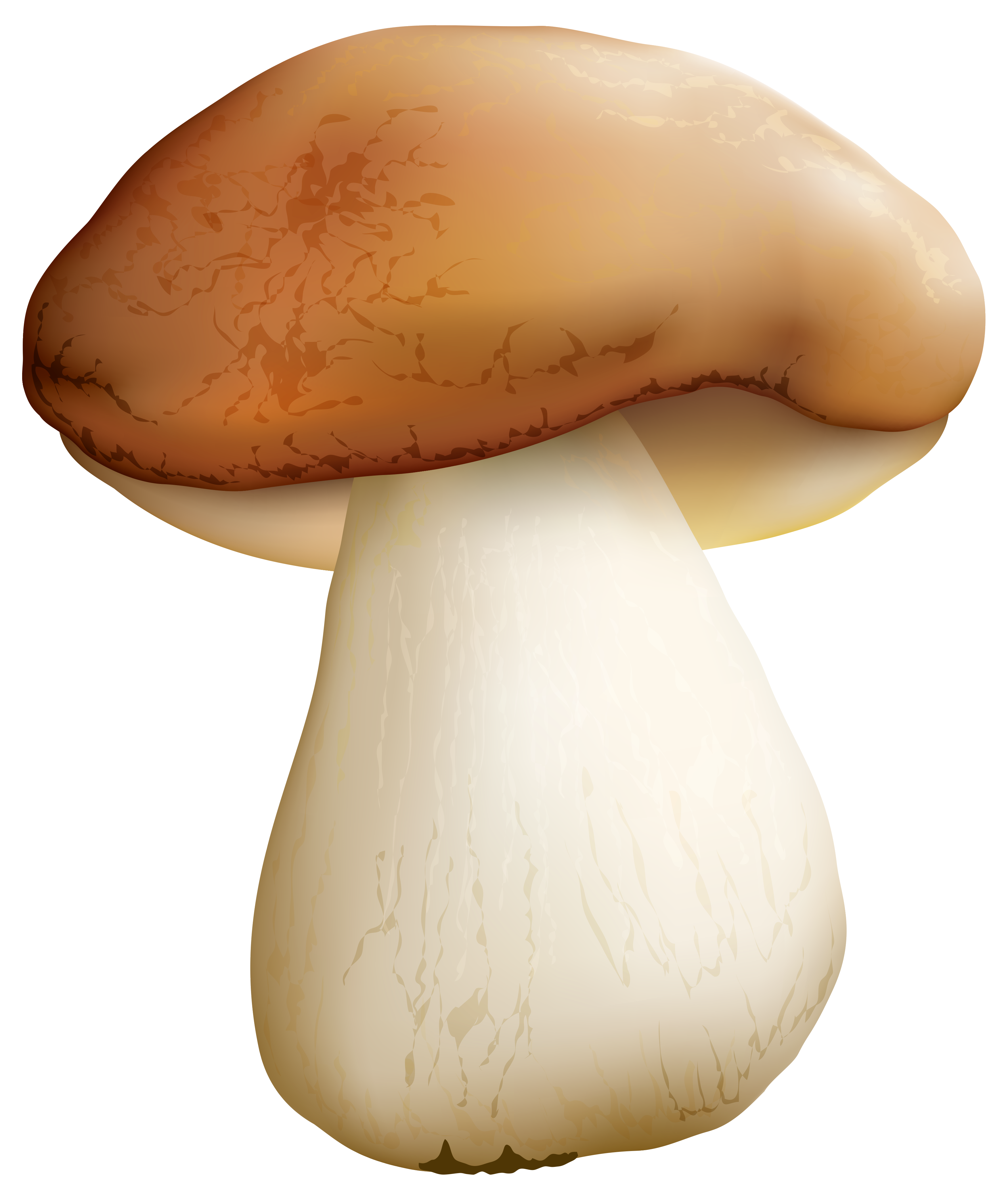 Mushroom PNG Clipart Image - ClipArt Best - ClipArt Best