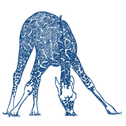 Hand drawn Zebra and giraffe design vector 01 - Vector Animal free ...
