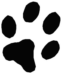 Cat footprint £3.96 - Animals - rubber stamps and stamping ...
