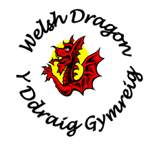 The Little Welsh Dragon - Ceredrotian.