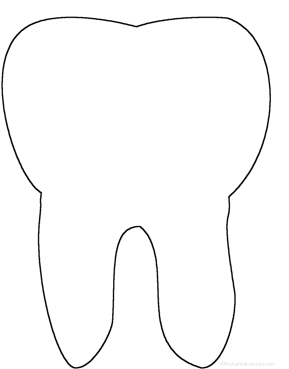 Tooth Anatomy - EnchantedLearning.