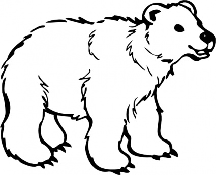 Grizzly bear Free Vector