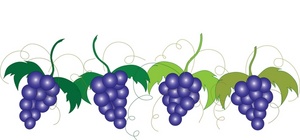 Grapes Clipart Image - Ripe grapes growing on the grapevine