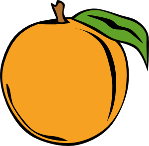 Fruit Orange clip art - vector clip art online, royalty free ...