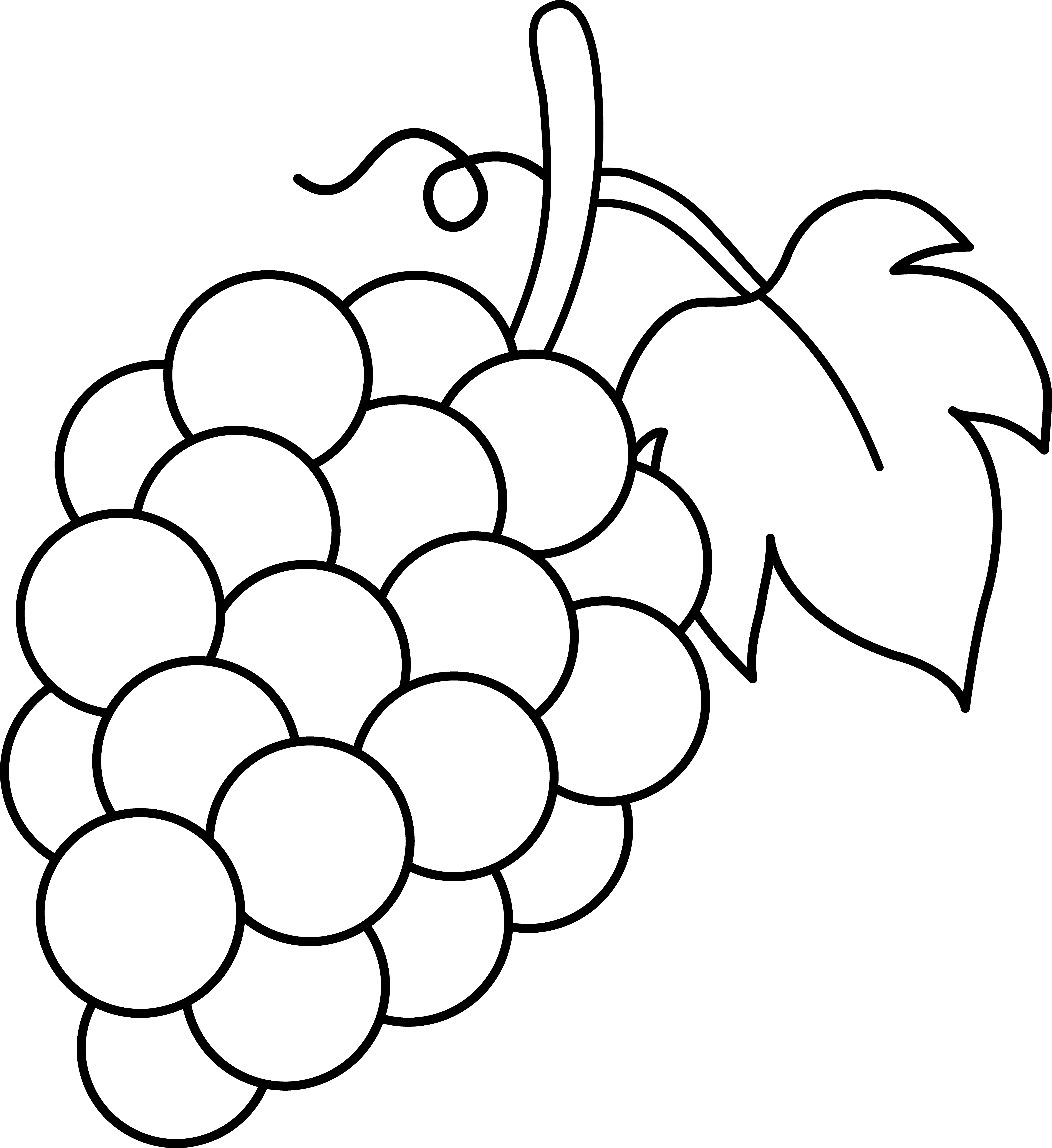 Grapes Black And White Lineart Free Clip Art Fruit Clip Art Black ...