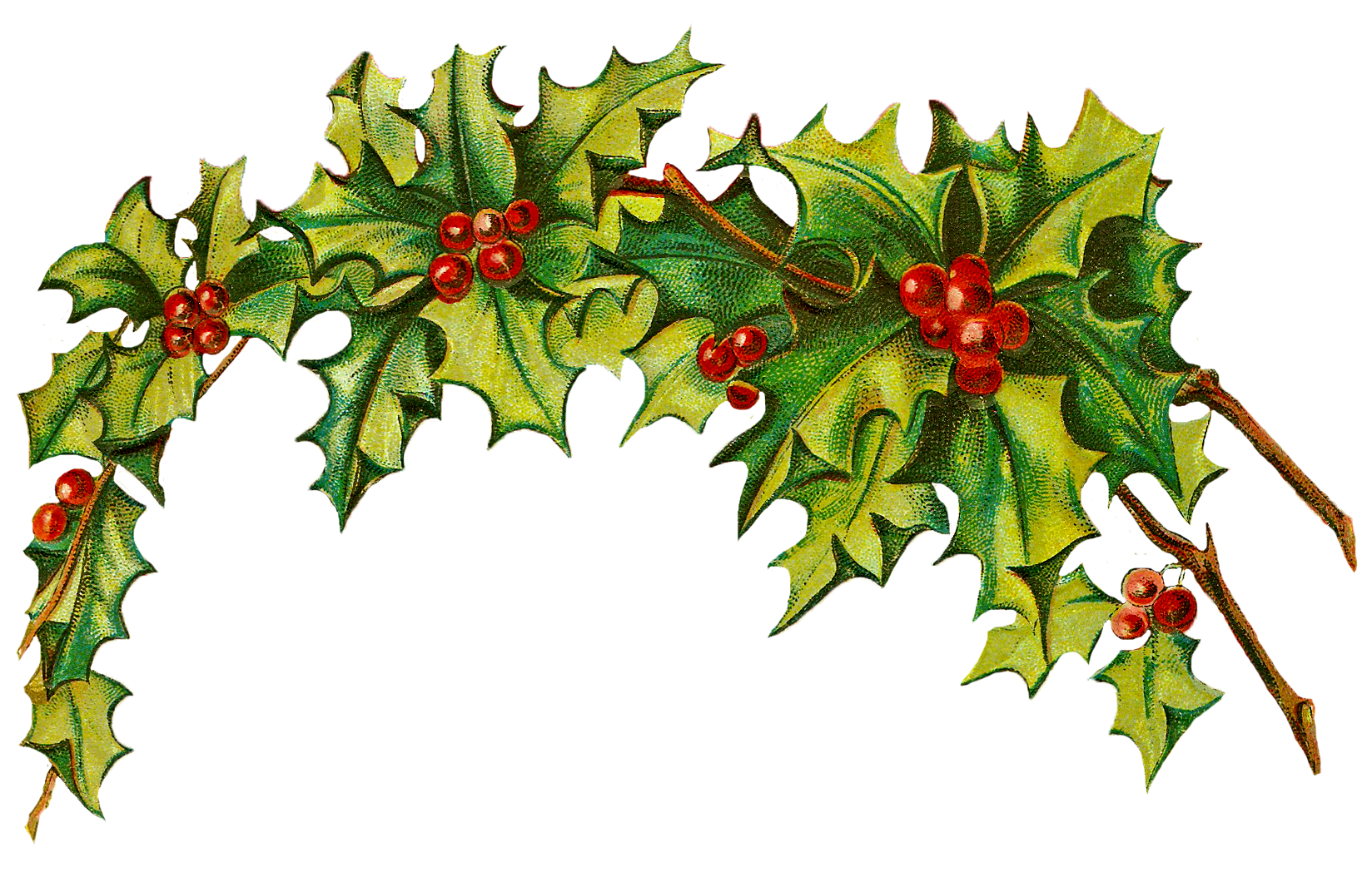 Holly Border Clipart Clipart Best