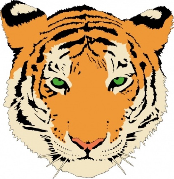Tiger clip art | Download free Vector