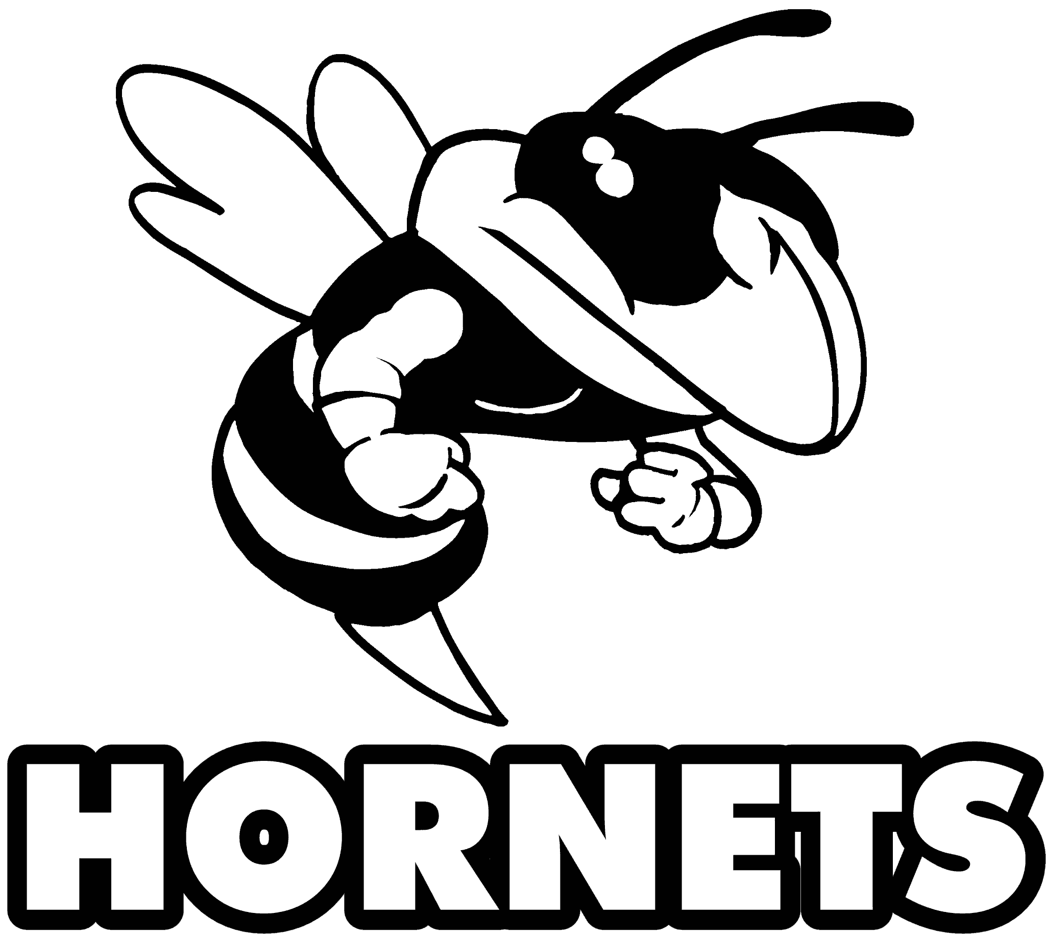 Hornet Mascot 2049x1842px Football Picture
