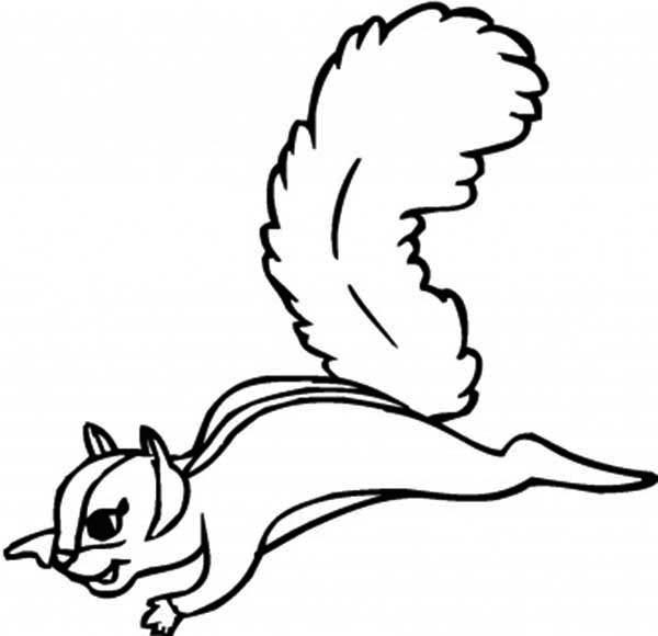 Flying Squirrel Coloring Page - Download & Print Online Coloring ...
