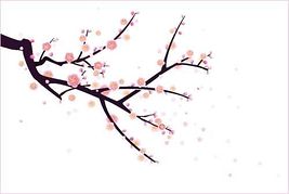 47+ Japanese Cherry Blossom Clipart