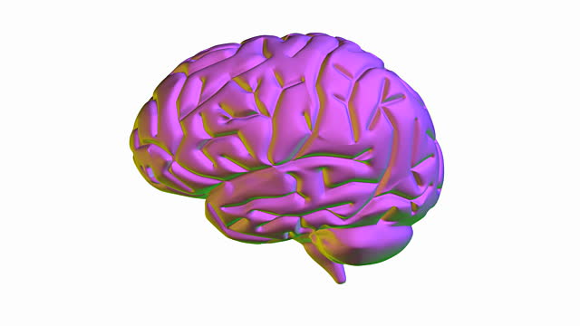 Rotating Model Of A Healthy Human Brain Stock Footage Video ...