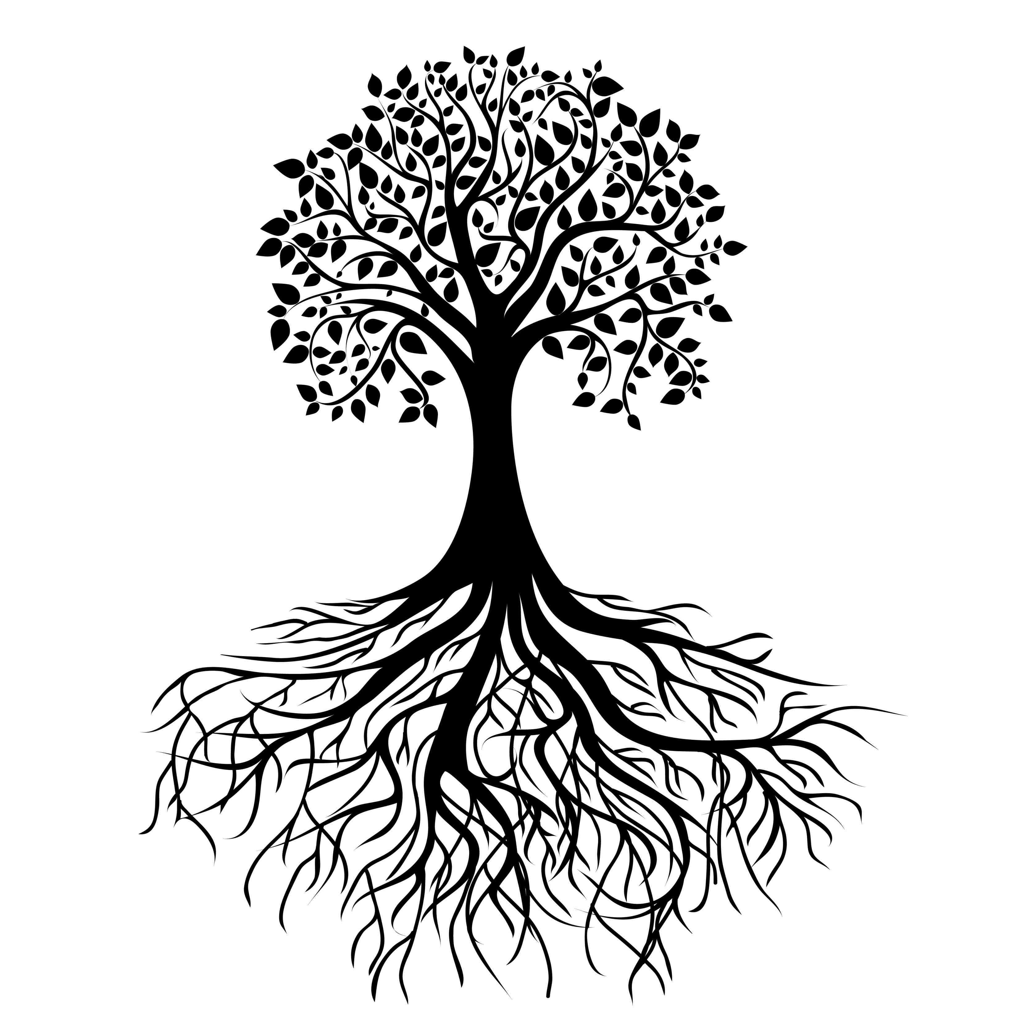 Family tree with roots clipart