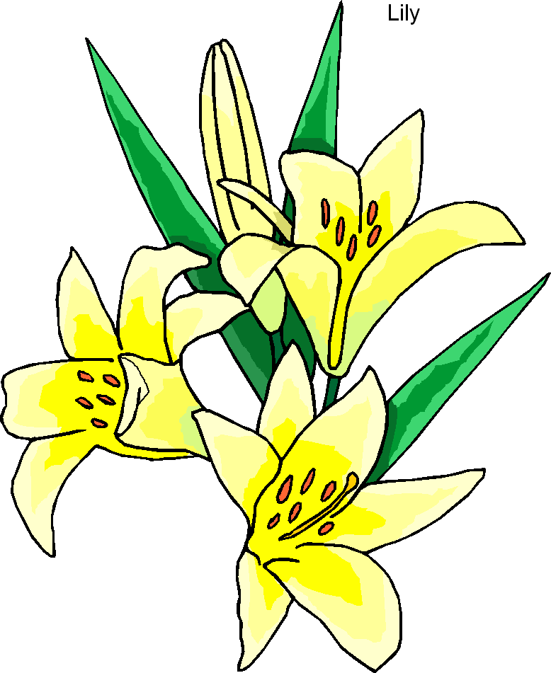 Easter lily flower clipart