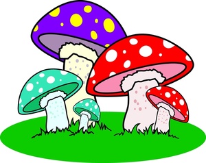 1000+ images about mushroom