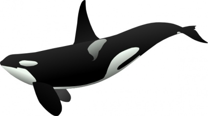 Ocean Animals Clipart Black And White - Free ...
