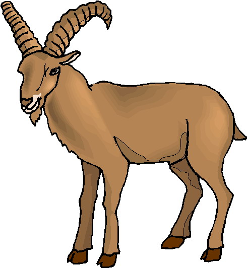 Clipart Goat - Tumundografico