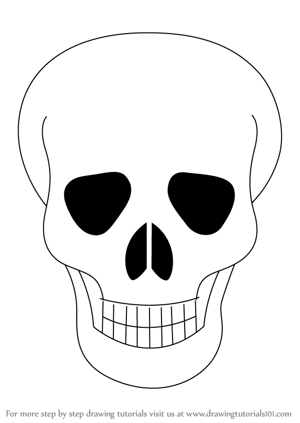 Learn How to Draw Skull Easy (Skulls) Step by Step : Drawing Tutorials
