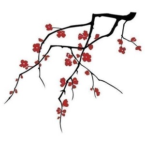 cherry blossoms (dual colour) - large - wall decals : produc ...