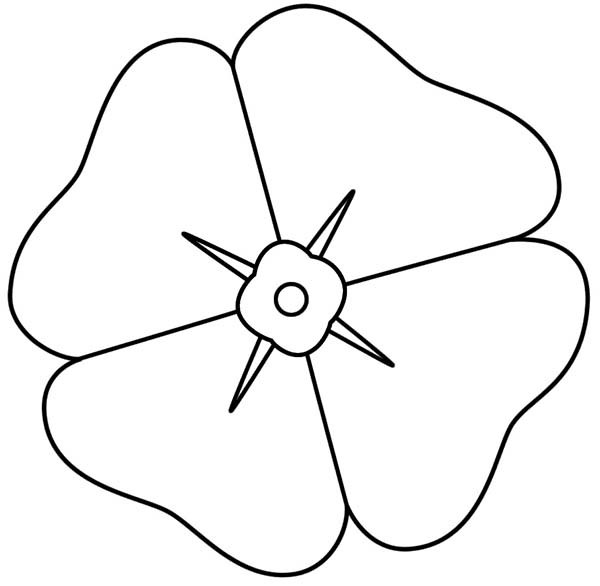 Poppy Template. poppy outline template to design a red poppy. by ...