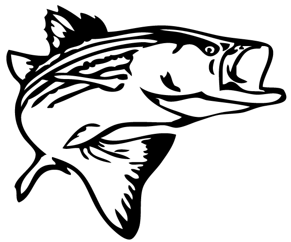 451 views Bass Fish Outline Clip Art - Free Clipart Images