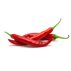 Red Chilli in Tiruppur - Lal Mirch Suppliers & Prices in Tiruppur