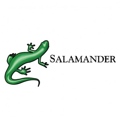 Salamander Clipart - ClipArt Best
