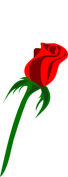 Red rose outline clipart png
