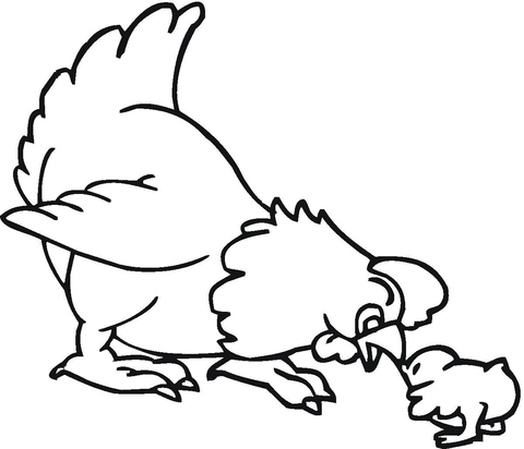 Hen and chick coloring page | Free Printable Coloring Pages