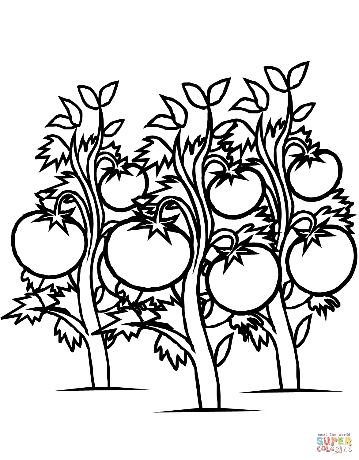 Tomatoes Plants coloring page | Free Printable Coloring Pages