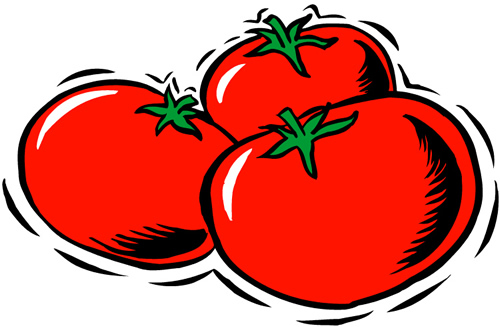 clipart of tomato - photo #39