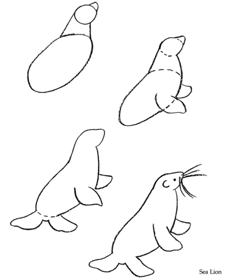 How to Draw Aquarium Animals - ClipArt Best - ClipArt Best