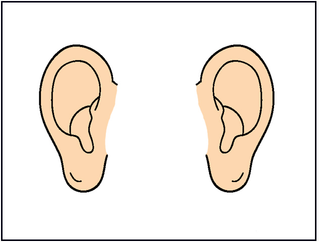 Clipart Ear
