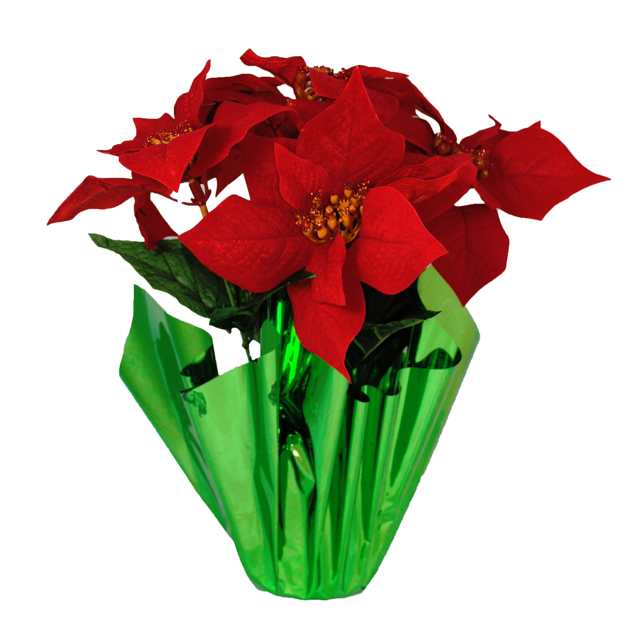 free clipart christmas poinsettia - photo #43