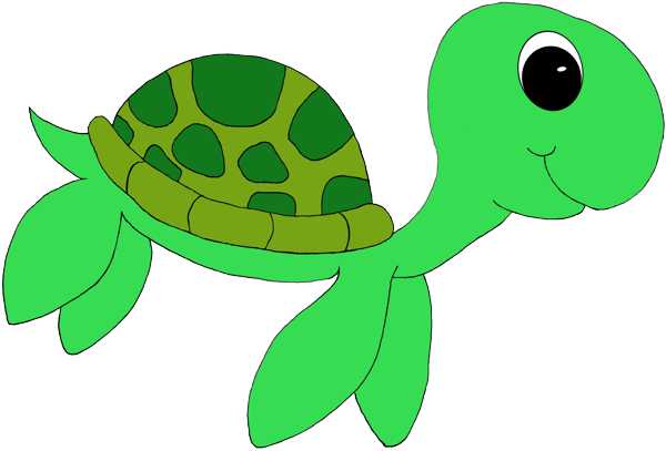 clipart picture of a turtle - photo #36