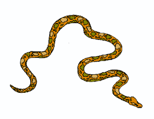 Snake Images Clip Art