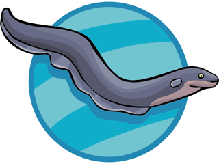 Cartoon eel clipart