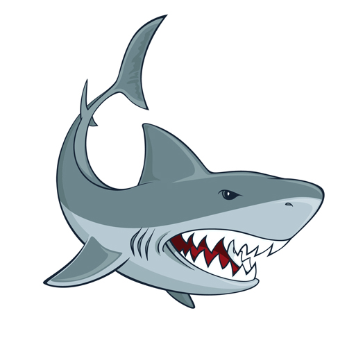 shark vector for free download