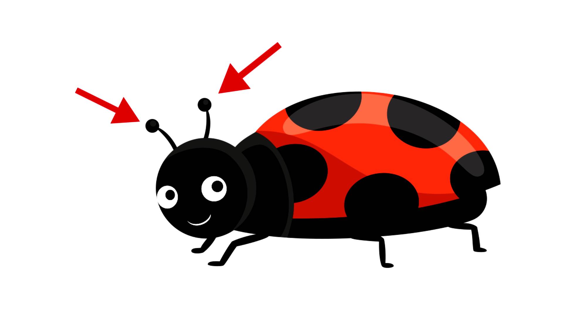 Learn Arabic with Zaky - Insects (Islamic cartoon) - YouTube - ClipArt Best - ClipArt Best Learn Arabic with Zaky - Insects (Islamic cartoon) - YouTube - ClipArt Best - ClipArt Best