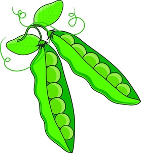 Green Beans Drawing 77953 | UPSTORE