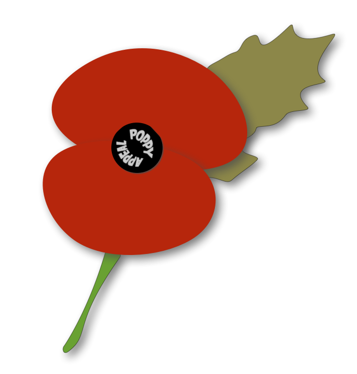 remembrance poppy vector