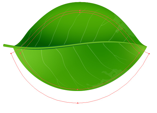 How to Create Realistic Vector Leaves in Illustrator